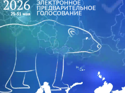 Заведующие садов и школ, директор строительной компании, консультант депутатов: кто участвует в праймериз «Единой России» от округа Таганрога