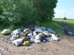 Таганрог занял второе место по числу свалок 