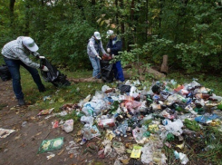 Таганрожцам предлагают фотографировать грязь