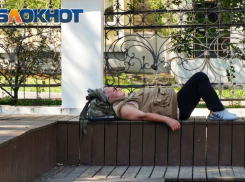 Мощная прожарка: знойная погода в Таганроге продержится до конца выходных