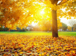 В конце недели настоящая жара ждет жителей Таганрога