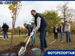  Министр ЖКХ Ростовской области приехал в Таганрог сажать деревья и убирать мусор