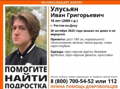 Таганрожцев просят помочь в поисках подростка, пропавшего шесть дней назад