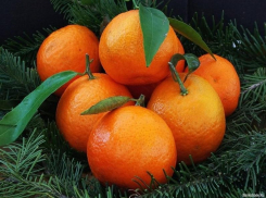 Перед Новым годом продажи мандаринов выросли на 1/3: как выбрать самые вкусные