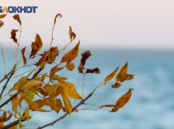 23 октября: народные приметы и советы для таганрожцев на день Евлампия Зимоуказателя