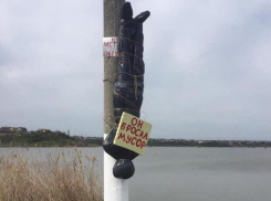 Таганрожцы придумали необычный способ борьбы с «мусорными вредителями»