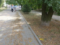 Долгожданный покос травы разочаровал таганрожца