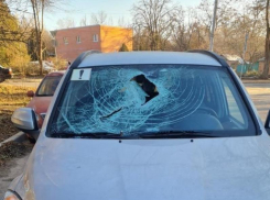 На улице Свободы в Таганроге недопиленное дерево упало на машины