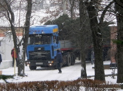 Главной елкой Таганрога стала 49-летняя хвойная красавица 
