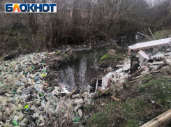 Не Доном единым: таганрогским рекам тоже нужен хотя бы день в году