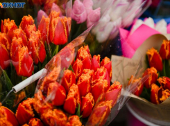 Таганрожцев ожидает дождливая неделя 