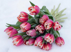 Погодная мозаика на длинный уик-энд: после снега — +12° в Таганроге