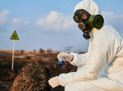 Радиационная обстановка в Таганроге остаётся стабильной