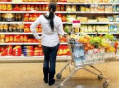 Жителям Ростовской области предлагают тратить на продукты и услуги 8843 рубля в месяц