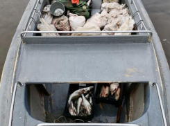  500 кг рыбы и 1 млн ущерба: под Таганрогом задержали браконьеров с большим уловом