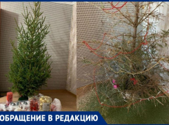 У таганрожцев только палки остались от елки, а продавец «чхать хотел»