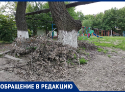 МБУ «Благоустройство» Таганрога отметилось несанкционированной свалкой на Трудовых резервах, 2