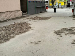 «Гербарий, наверное, собирают»: таганрожцы придумали версию почему с улиц не убирают листву