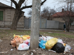 Правительство Ростовской области нашло недочеты в сфере благоустройства Таганрога