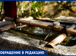 Таганрожец вывел на «чистую воду» правление своего ДНТ