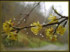 Предстоящие выходные в Таганроге снова будут дождливыми