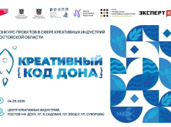 Конкурс проектов «Креативный код Дона» проведут в Ростовской области