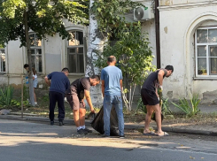 Чистота к 1 сентября: в Таганроге масштабный субботник охватил школу №9 и историческую Греческую улицу