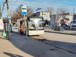 Когда остановки в Таганроге оснастят табличками с графиками движения автотранспорта? Ответ властей