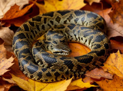 Как провести 25 сентября таганрожцам: советы и предостережения