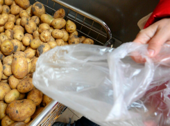 Таганрог лидирует, только с какого конца - цены на картофель в феврале 2025