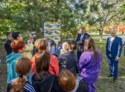 Новые детские площадки в Таганроге: сколько, где и какие - как жителям принять участие в обсуждении