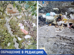 «Как в свинарнике…» - таганрогские пейзажи