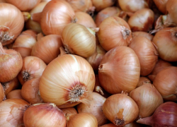 В Ростовской области подорожала картошка, зато лук дешевле всего в Таганроге