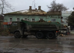 "Сейчас дом жилой развалит": после публикации "Блокнот" в Таганроге спилили старый тополь