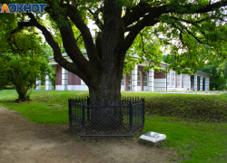 Таганрог: прогноз погоды на праздничные дни с 10 по 12 июня 