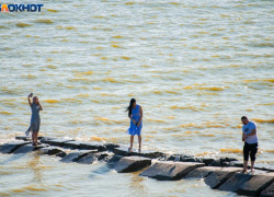 Супербактерии из Таганрогского залива: ученые ЮФУ обнаружили новую угрозу