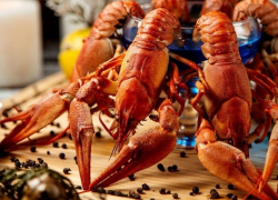 Гастрономический туризм: чем привлекательны Таганрог и Ростовская область 