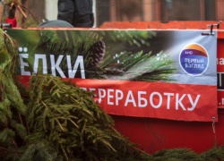 Подводим итоги  акции "Елки в переработку!" 2025.
