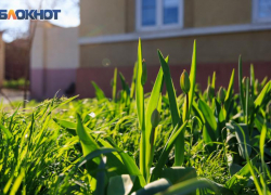 Смотреться в зеркало и давать в долг: что можно и нельзя делать в Евтропиев день, 16 марта