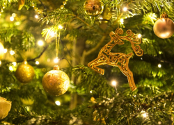 Новогоднюю программу опубликовали в Администрации Таганрога