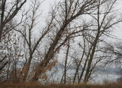 10 декабря 2025: что праздновать, на что смотреть и чего избегать сегодня таганрожцам 