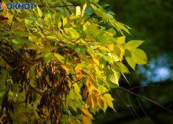 Таганрог: прогноз погоды с 20 по 24 ноября