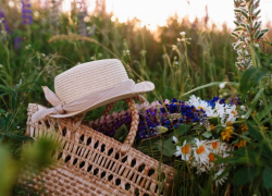 Таганрог в марте может накрыть июньское тепло