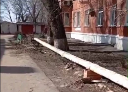 Таганрожцы выражают благодарность Блокноту