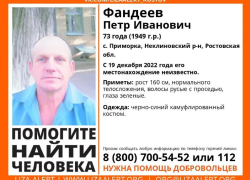 Пропавшего без вести пенсионера разыскивают под Таганрогом