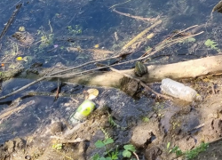 Культура хромает: "Черепаший" прудик в Таганроге вновь засыпали мусором 