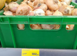 Цены на лук в Таганроге бьют новые рекорды