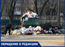 Трава зеленеет, солнышко блестит, мусор в Таганроге кучами лежит