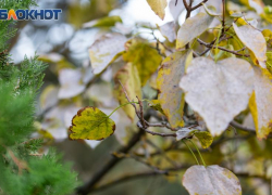 Новости народной мудрости: какие советы и запреты для таганрожцев несет в себе день Якова 