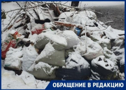 «Экотранс» не спешит вывозить мусор с улицы Ленина в Таганроге